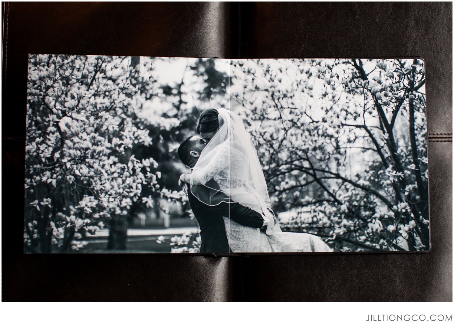 Jill Tiongco Photography Wedding Album | Chicago Wedding Photographer