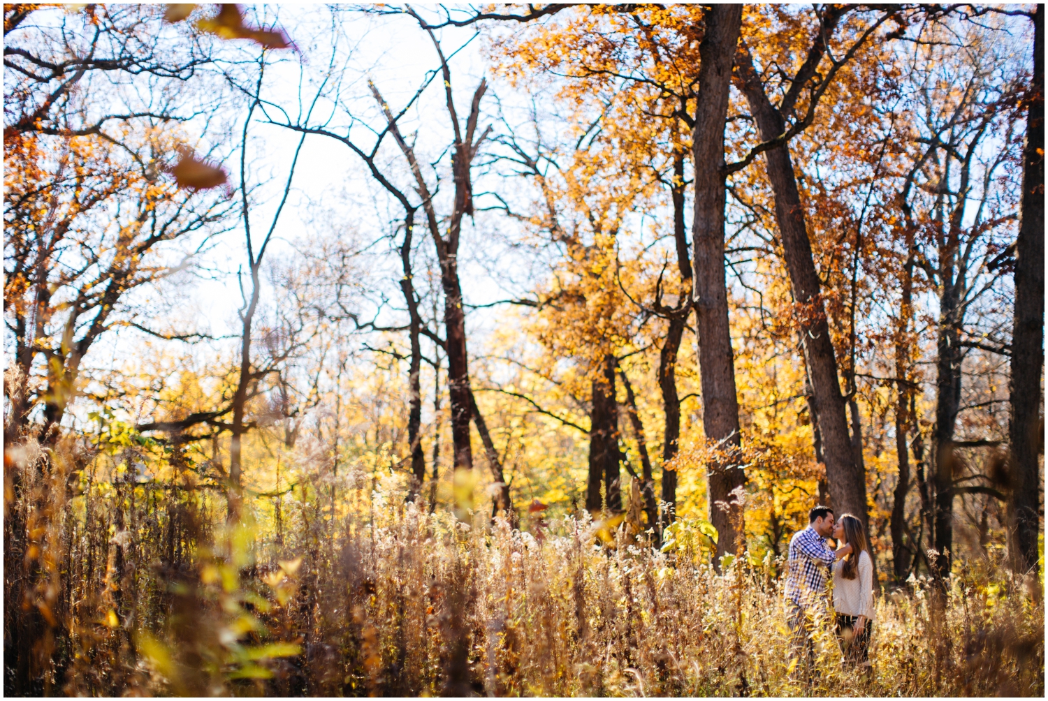 JillTiongcoPhotography-ChicagoEngagementPhotographer_0014.jpg