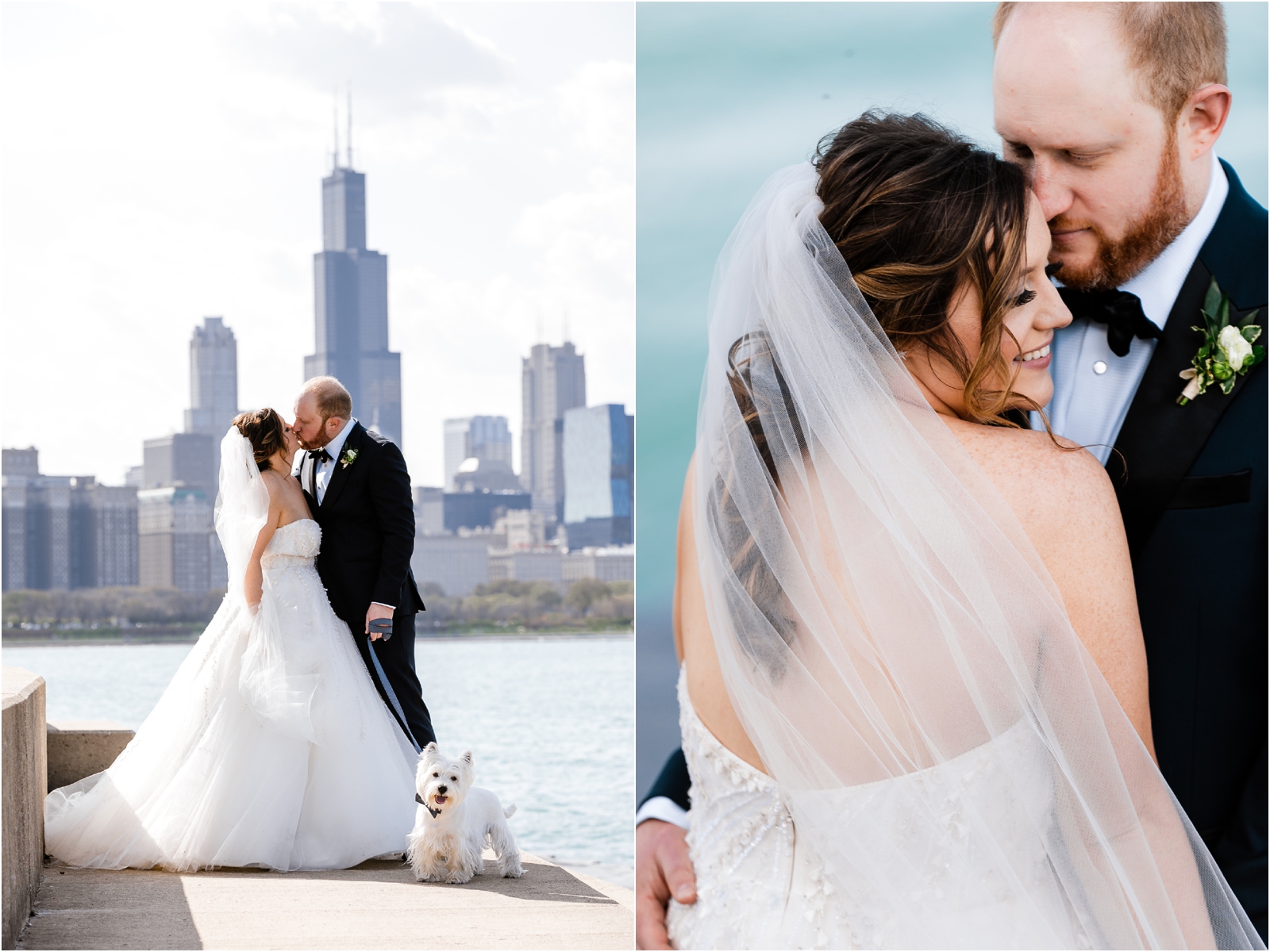 Adler Planetarium Wedding Pictures | Chicago Wedding Photographer 