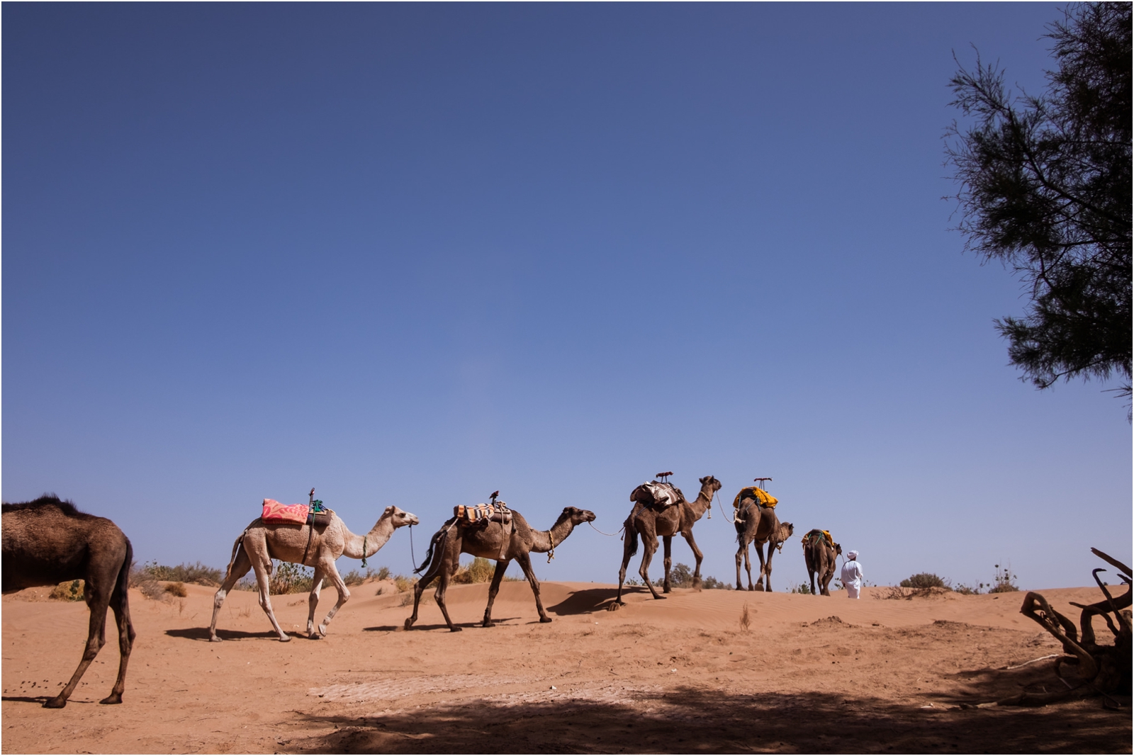 Morocco-Itinerary-Marrakech-Sahara-JillTiongcoPhotography_0042.jpg
