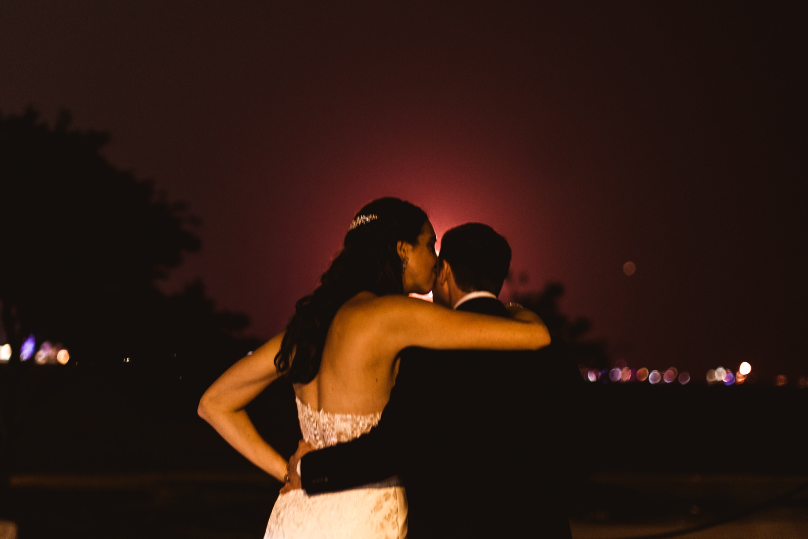 Adler-Planetarium-Wedding-Chicago_0041.jpg